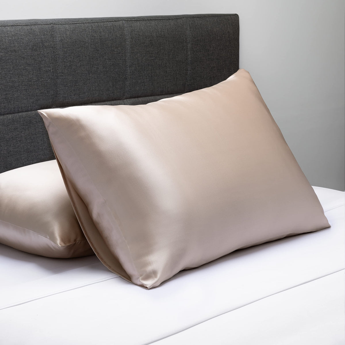 Fishers Finery 25mm 100% Pure Mulberry Silk Pillowcase