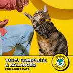 Temptations Classic Crunchy and Soft Cat Treats, Tasty Chicken, 3 oz, 12pk (E7230603) (Pack of 12)