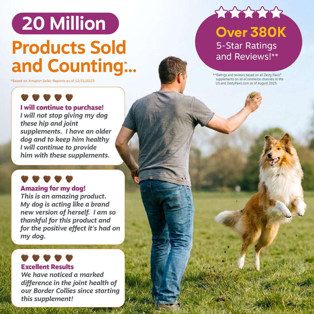 Zesty Paws Hip and Joint Supplement for Dogs