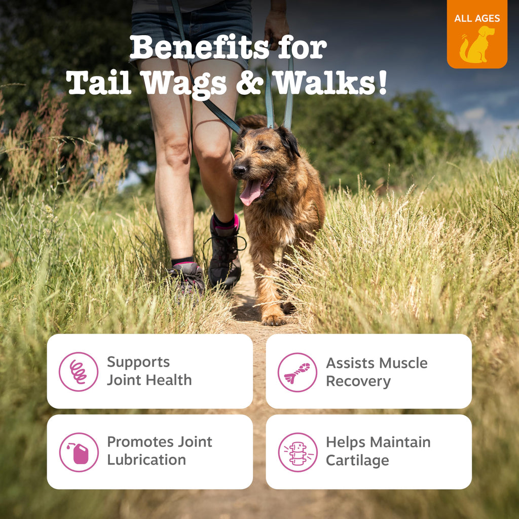 Zesty Paws Hip and Joint Supplement for Dogs