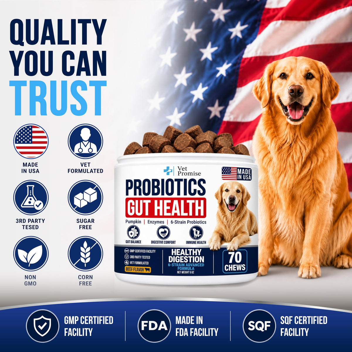 Vet Promise Probiotics for Dogs - Dog Probiotics with Digestive Enzymes, Soft Chews (PRBVP-70)
