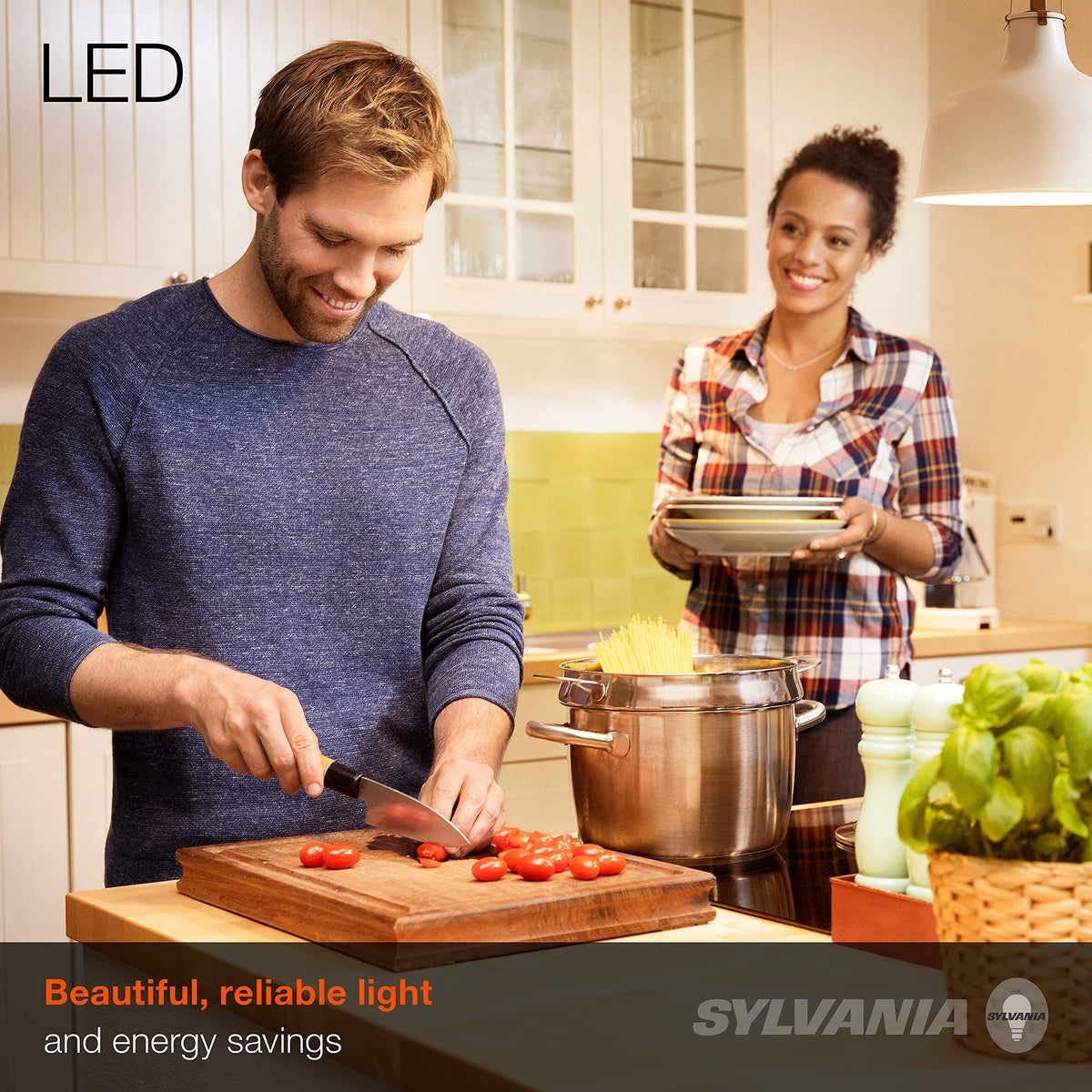LEDVANCE Sylvania ECO LED A19 Light Bulb