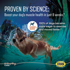 URSOLYX Soft Chews for Dogs