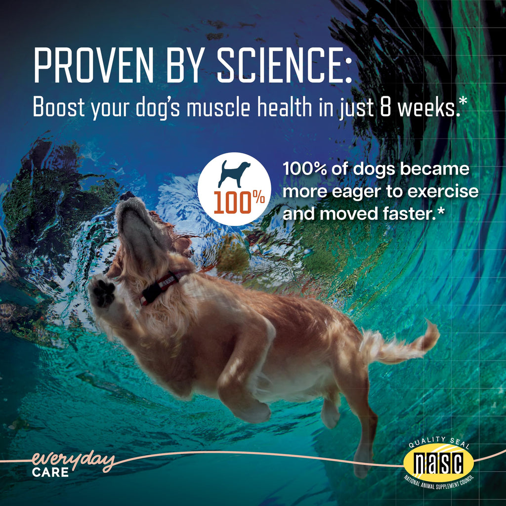 URSOLYX Soft Chews for Dogs