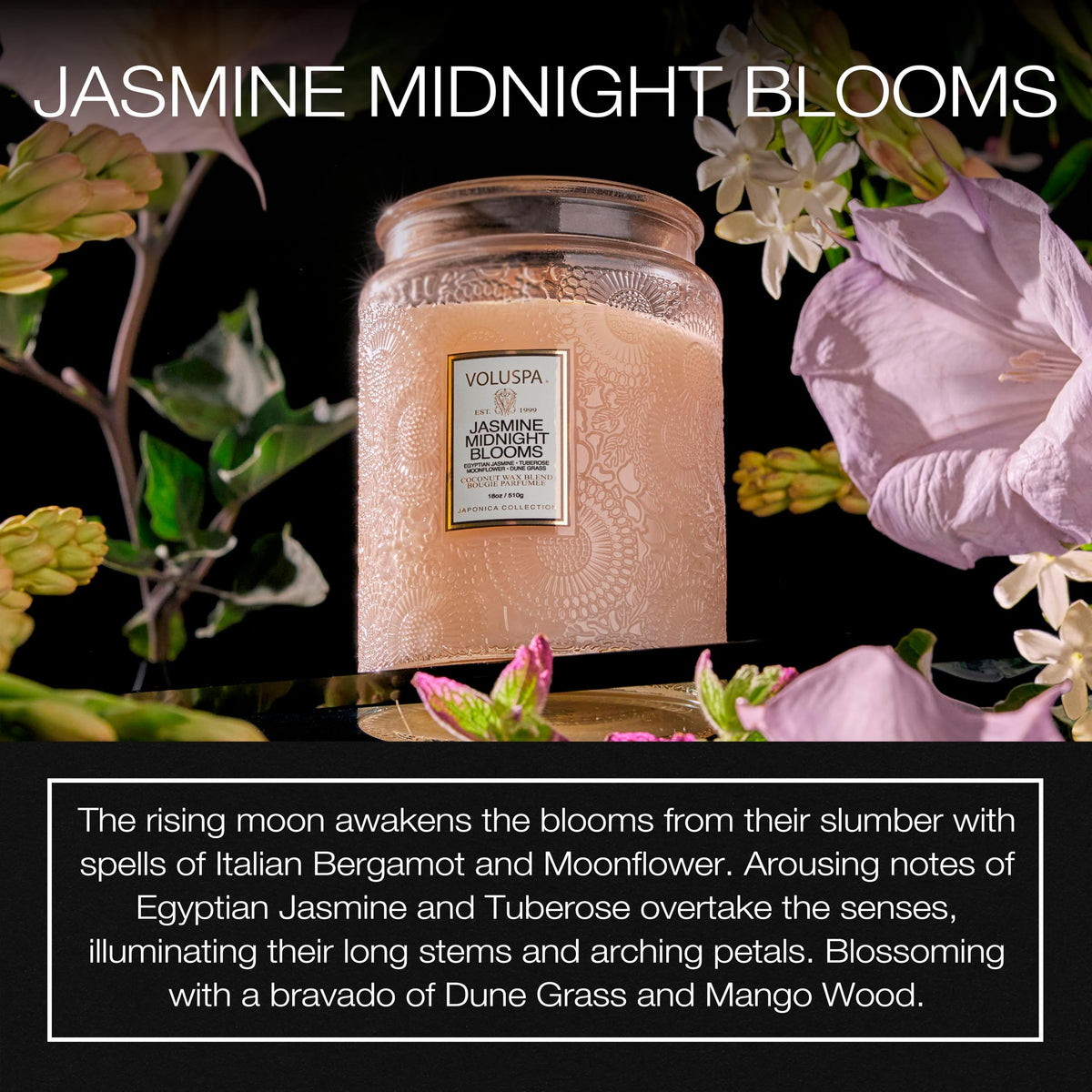 Voluspa Large Scented Candle Jar 18 Oz, 100 Hr Burn - 8 - Jasmine Midnight Blooms view 1